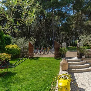 https://apartments-rita-porec.in-istria.net